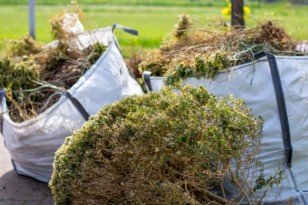 Best Dumpster Rental Services  in Frederick, CO